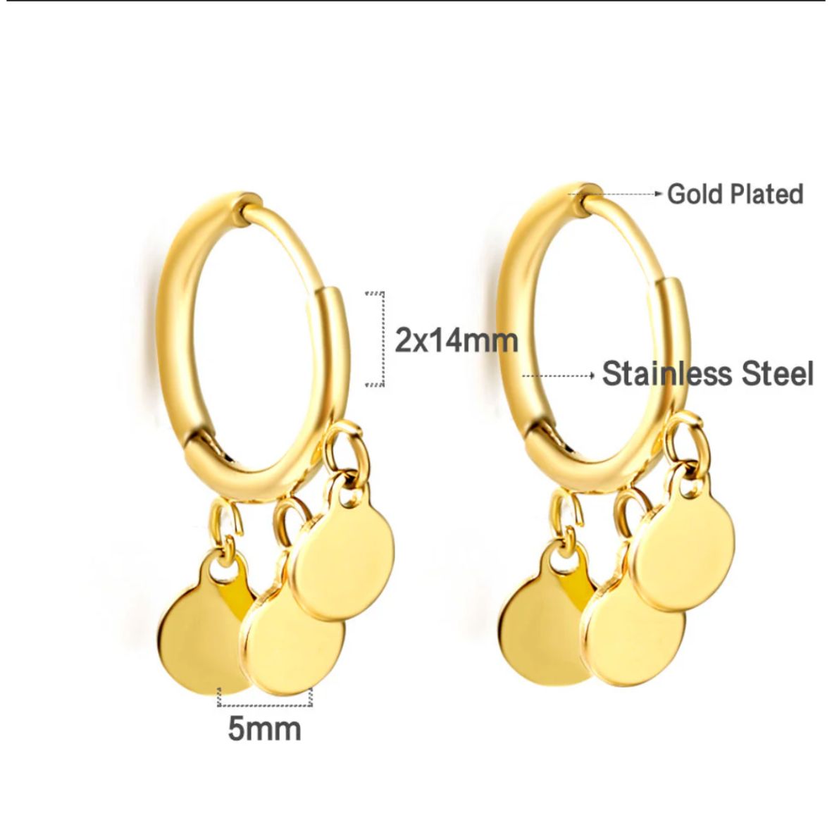 Stainless Steel / 18K Gold Plated Earrings