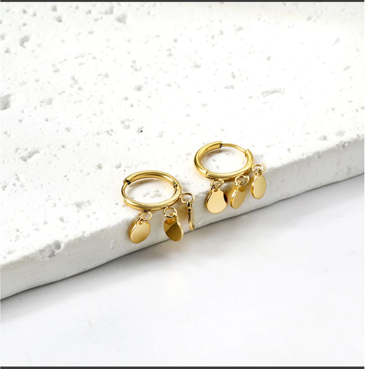 Stainless Steel / 18K Gold Plated Earrings