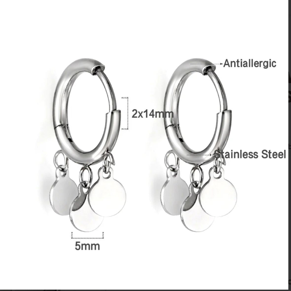 Stainless Steel / 18K Gold Plated Earrings